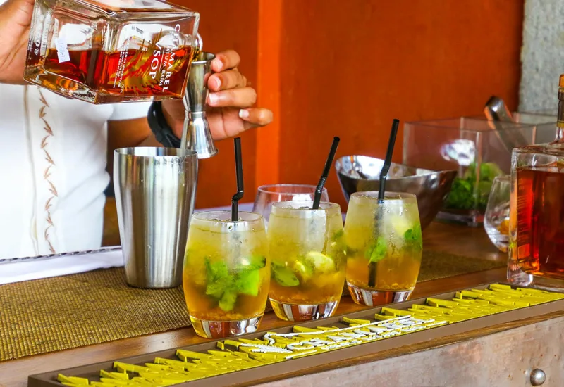 Cocktail Masterclass Making